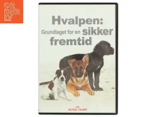 Hvalpen: grundlaget for en sikker fremtid