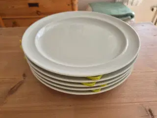 Hvidpot middagstallerkner 