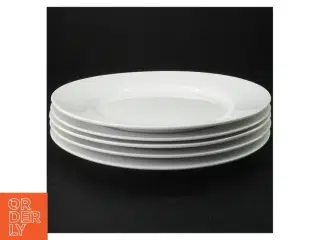 Hvid porcelænstallerken, 5 stk, flade (str. 23 x 3 cm)