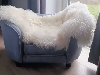 Hundeseng til lille hund