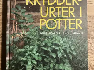 Krydderurter i potter, Deborah Schneebeli-Morrell