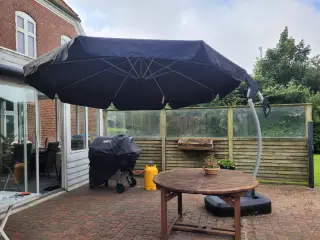 Parasol