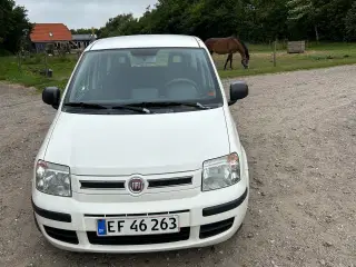 Velholdt Fiat panda 
