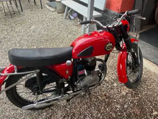Bsa