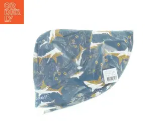 CeLaVi hat (str. 50 )