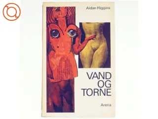 Vand og torne af Aidan Higgins (bog)