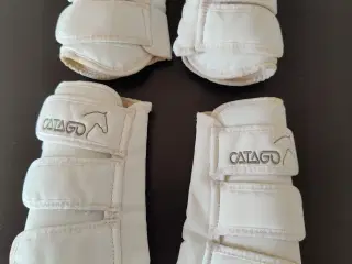 Dressur gamacher Catago