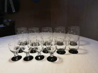 Ranke glas med sort fod øl, vand, portvin 