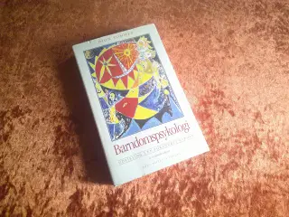 Barndomspsykologi, Dion B. Sommer,