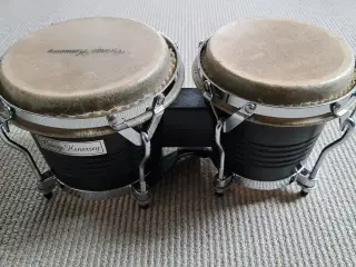 Bongo trommer 