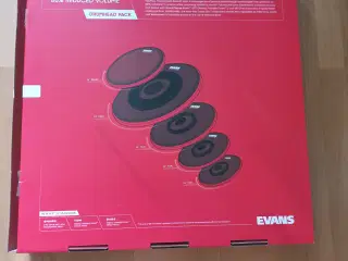 Evans dB One Rock System Pack Kit