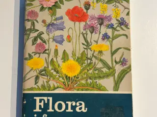 Bog: Flora i farver 