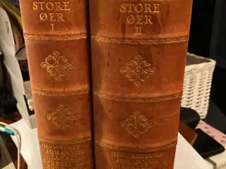 Danmarks Store øer