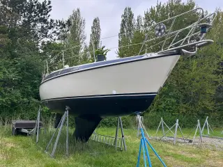 Maxi 95 - Sejlbåd 