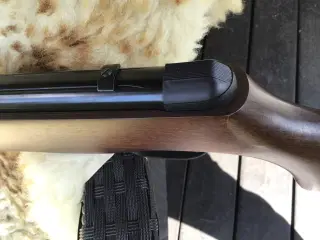 Luftgevær gamo cf 20