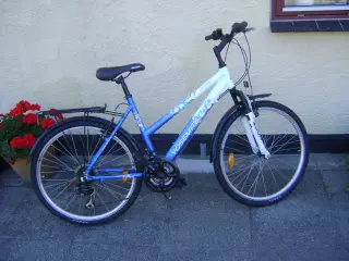 26" Yosemite citybike