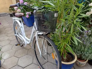 Busetto Damecykel