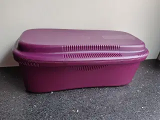 Pastakoger - Tupperware