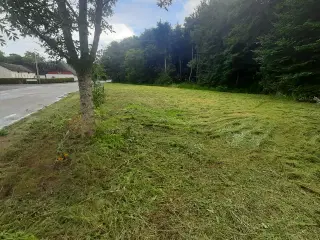 Livet på landet med gode naboer og tæt på Ålborg