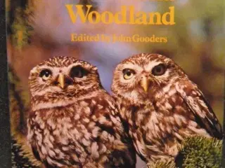 Birds of Heath and Woodland by John Gooders