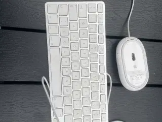 Sælger den her apple tastatur og mus. Kun brugt li