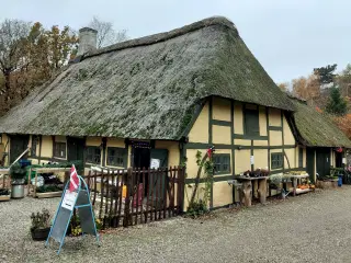 Butik Skovbrynet - Plantesalg og genbrug