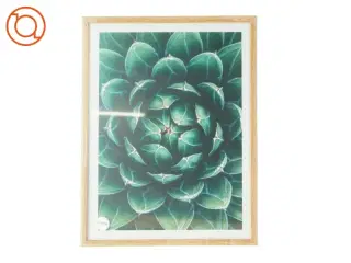 Billedramme i træ (str. LB: 30x40 cm)