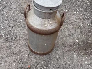 Mælkejunge 
