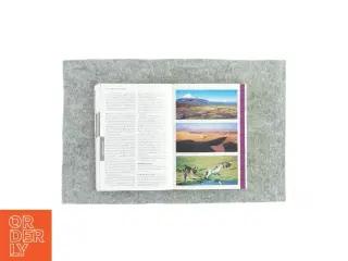 Chile & Easter Island (bog)