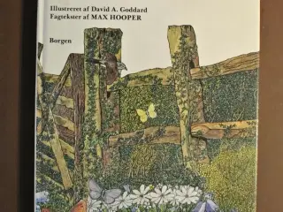 de fire årstider i naturen, af richard adams. ill.