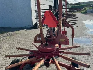 Lely Hibiscus 421