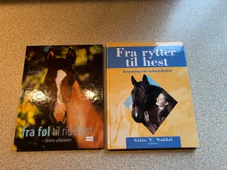 2 hestebøger af Gitte V Naldal