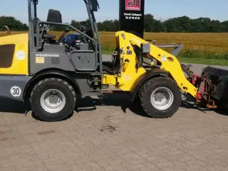 Weidemann 1880