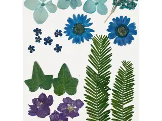 Tørrede blomster og blade, blå, 1 pk.