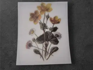 Smukke papirark med vilde blomster til kreative pr