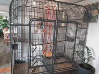 Papegøjebur 160×80×180