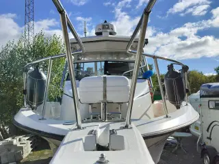 Bayliner Trophy 2502