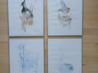 Mads Stage dyremotiver