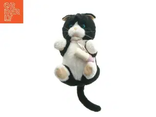 Cat plush toy with bottle (str. 18 cm)