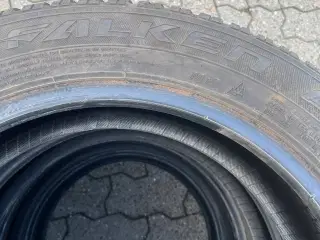 Vinterdæk Falken Eurowinter HS01