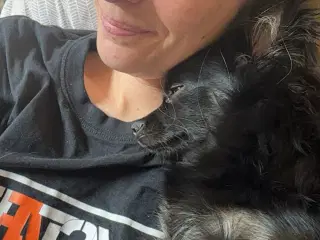 Den dejligste kærligste lille hund 