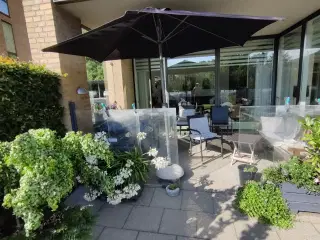 Parasol