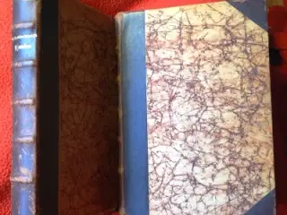 Meïr Aron Goldschmidt: Hjemløs