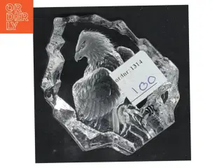 Glasfugl