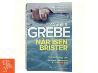 Når isen brister af Camilla Grebe (Bog)
