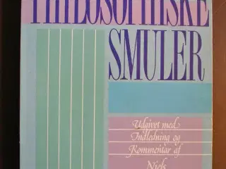 philosophiske smuler, af søren kierkegaard. , emne