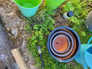 Plante krukker 100kr pr sæt 