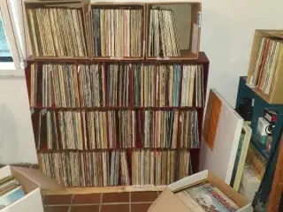 Velholdt LP samling