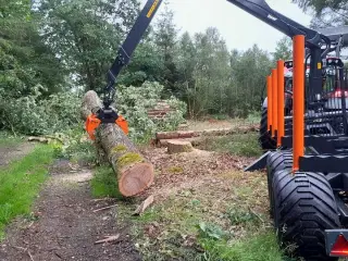 BMF 12 t. skovvogn med 7,5 m. kran