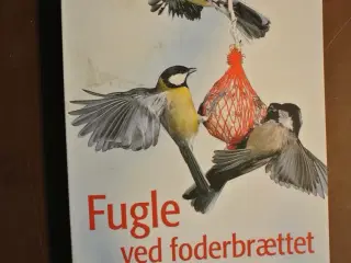 fugle ved foderbrættet artsbestemmelse og fodring,